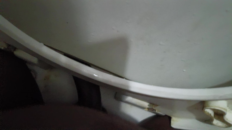 king_without_qu159: 19 ani tânără studentă futându-se în pensiune