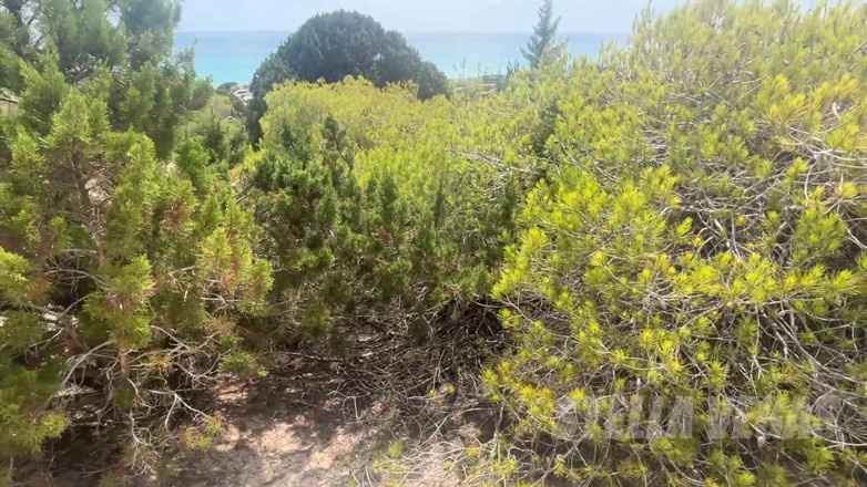 Stella Vegas: Fuck in Formentera