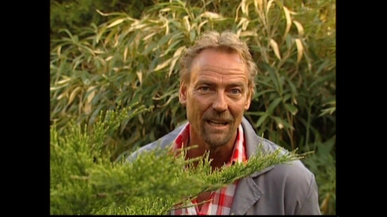 MMV Films and Clips XXX: Orgasme yang tak terlupakan