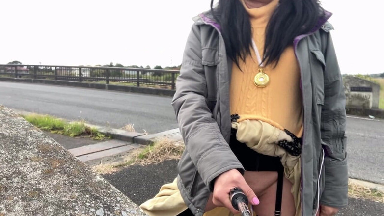 megu2002: 자가 훈련 No. 33 고속도로를 따라 걷는 새는 산책