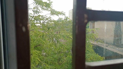 suchismitasarkar: Bengali Hot Star Tina Masturbates in a Hotel Room