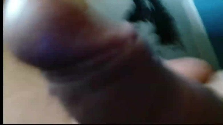 BBIG: Cámara en directo, los cerdos quieren comerse mi queso de...