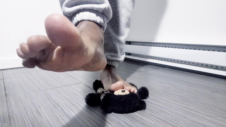 Soft Soleman: Saya bermain dengan plushes, barefoot (2025)