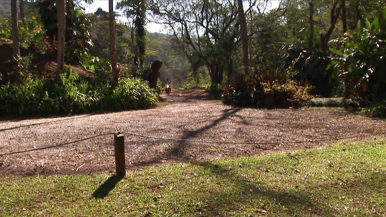 Bareback TV: Dos hermosas putas calientes follan en el bosque