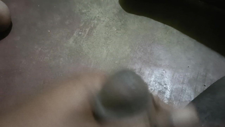 LegalVector8: Hintçe sikiş