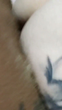 私の妻は彼女の猫でクラブから遅れて到着し、すべてのベタベタと精液と彼女は私に別の男の精液を吸わせます