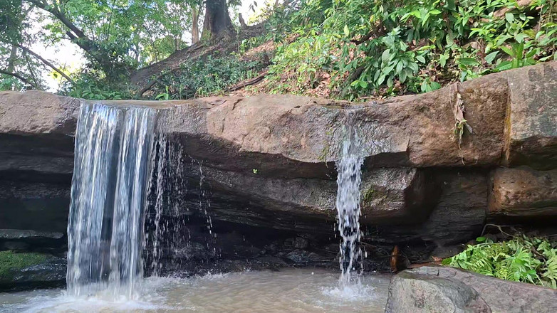 BMCs: 천국에서 푸로는 원하는 습한 자연과 접촉합니다