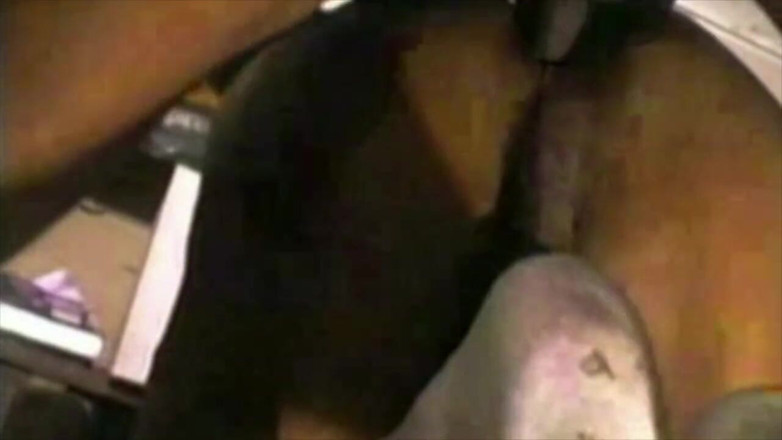 Black fuckers with big cock: Str8 Black accepte de se faire sucer mais avec un...