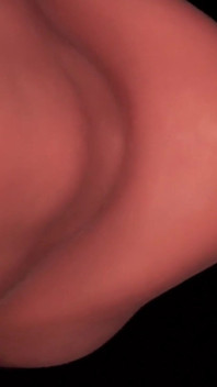 Close up: Best Blowjob Ever