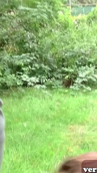 Duitse magere stiefdochter maakt taboeseks in de tuin