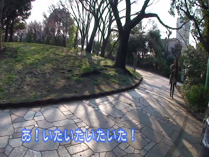 Strix: Tokushima Complete Amateur Edition!!!