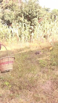Bts Adigun the Farmer Ft Blackstar