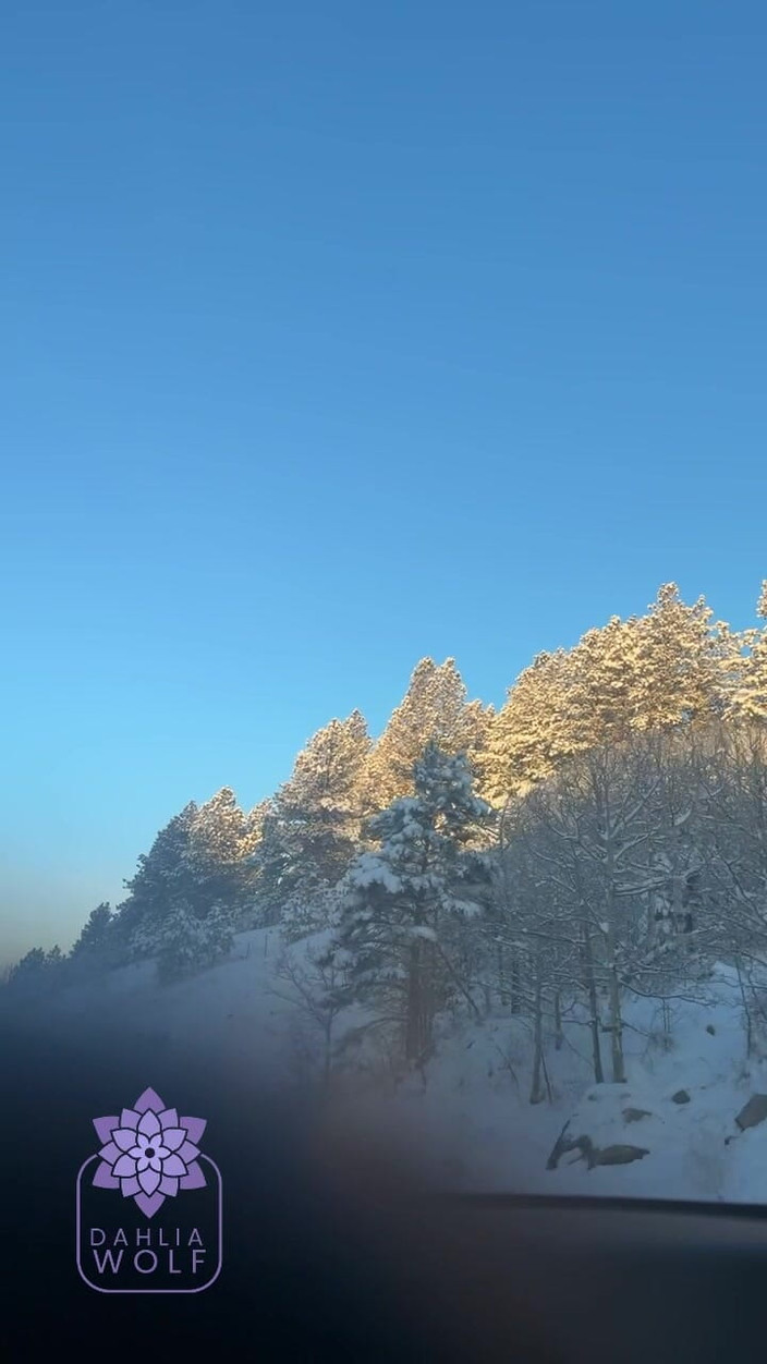 Dahlia Wolf: Cewek hot ini lagi asik ngocok dan crot di toketnya...