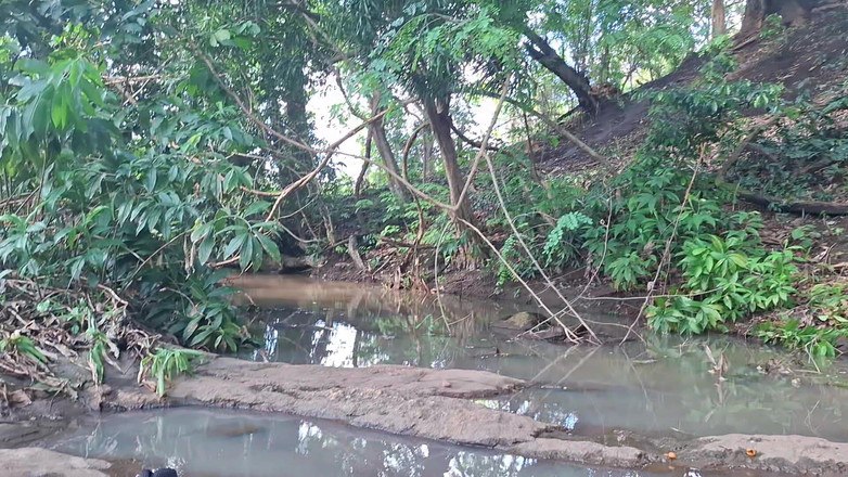 BMCs: У раю Пурро контактує з бажаною вологою природою