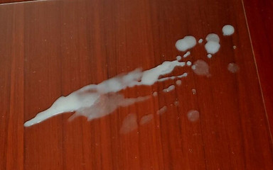 LolaCD: Sc015 - 28H， 2h