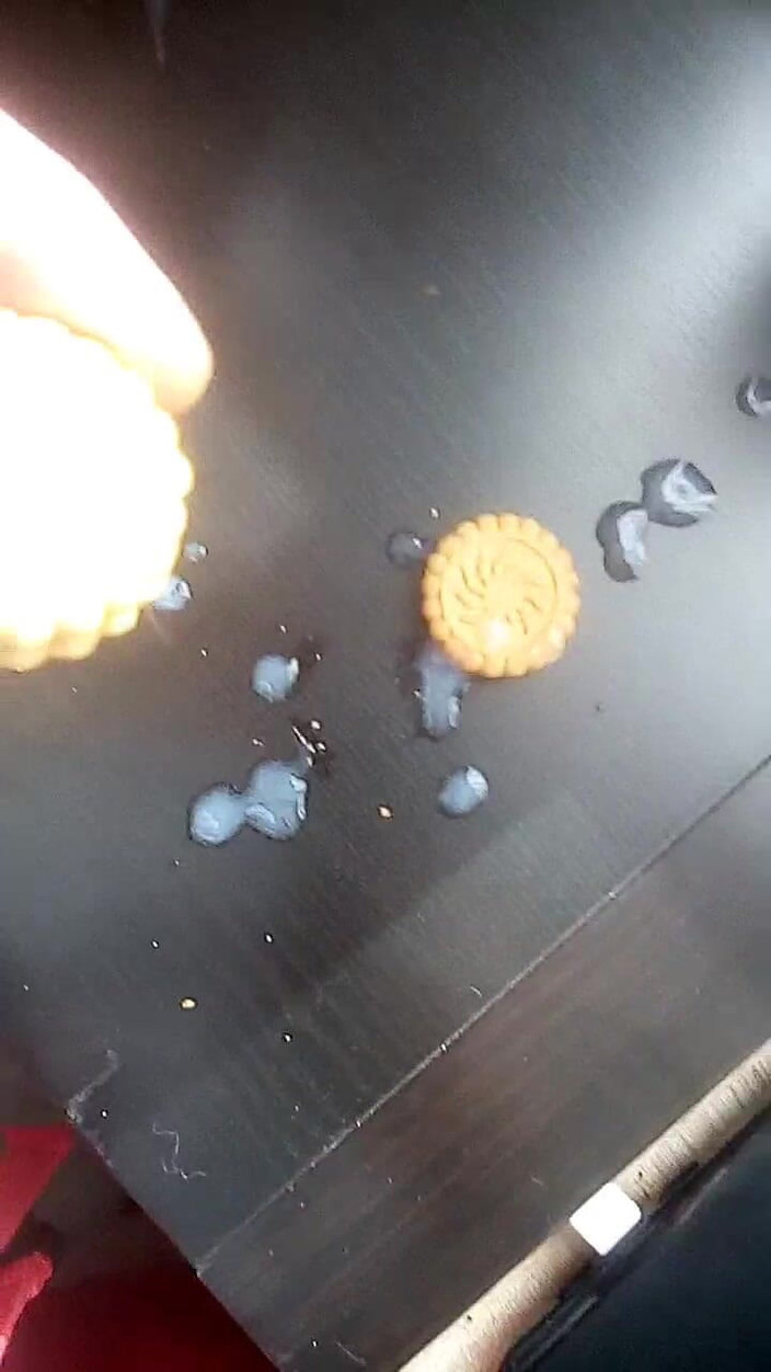 Daniel Bergmoser: Makan cookies dengan krim saya