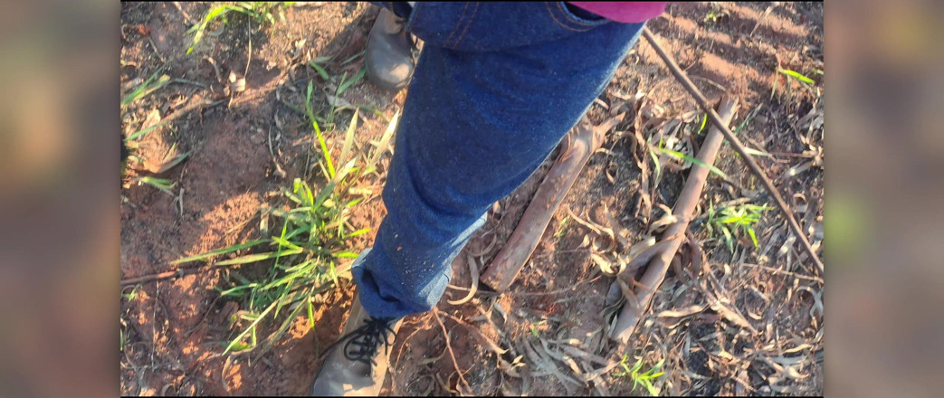 Stink HairyMale: Looking for a Place in the Woods to Cum