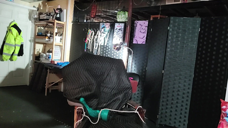 City hog: Eddie là một con lợn