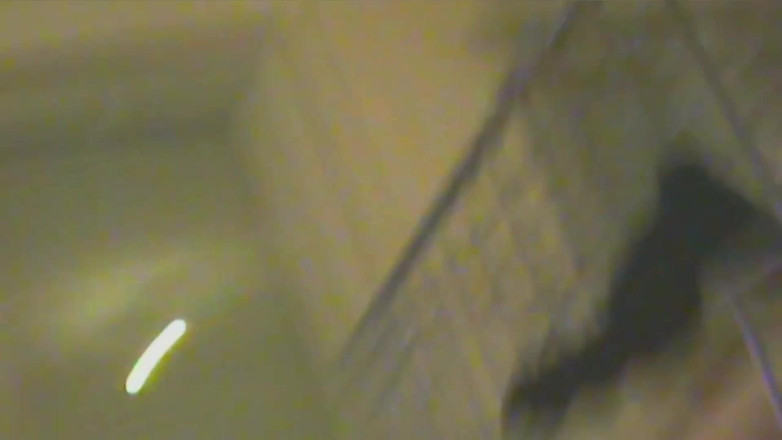 No limit cbt slave: Schiavo in Gabbia Viene Usato per Il Sesso Anale