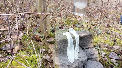 Idmir Sugary: बाहर चुदाई के बाद दो भरे हुए कंडोम से वीर्य निकालना और वीर्य खाने के बाद मेरा लंड हिलाना