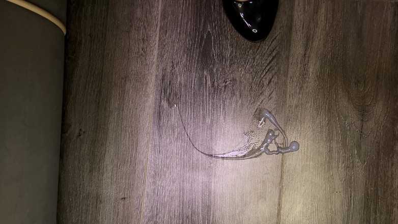 Eva Deva: JOI/ponížení/ Špinavé hry policisty s vězni