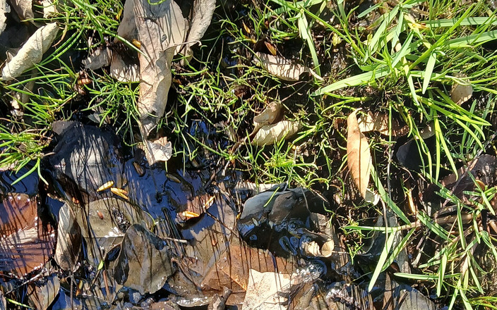 Latex Boy: 橡胶迷彩威尔里里的泥浆乐趣