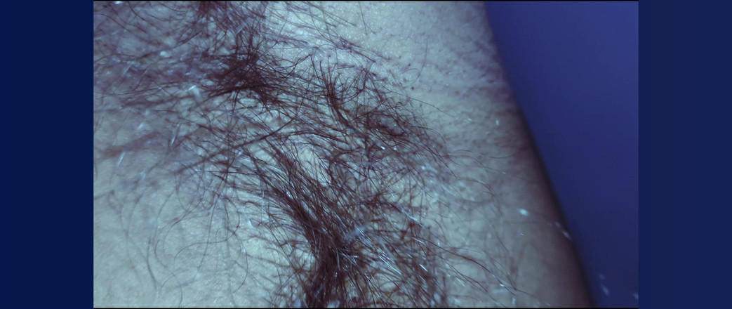 Stink HairyMale: 배, 겨드랑이, 그리고 음경