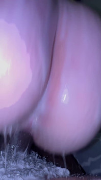 크림 같은 스노우버니