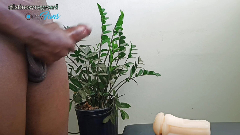 Dominicano: Я мастурбую моего друга огромным черным и толстым членом и даю мне все его молоко.