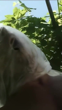Busty Blonde Fucked by Two Big Cocks