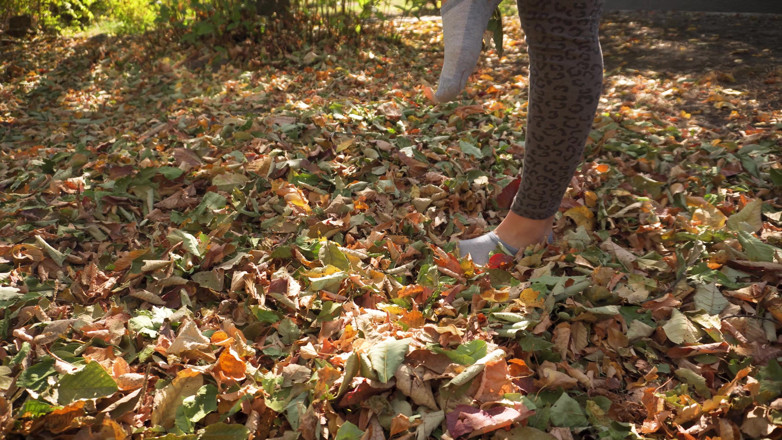 Teasecombo 4K: Leaves Crunching Underfoot Asmr