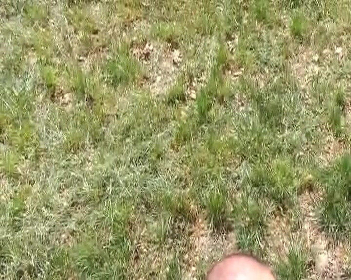 Porno kino: Pelirroja alemana puta monta polla en la naturaleza