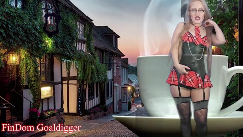 FinDom Goaldigger: First chastity cage lesson