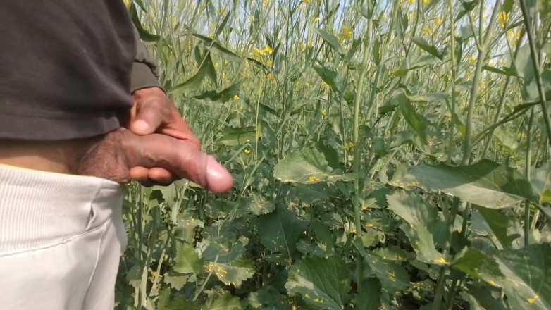 BlondeTroubleshootor: Sex în aer liber în junglă