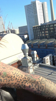 Spontaneous Blowjob Over the Rooftops of Berlin