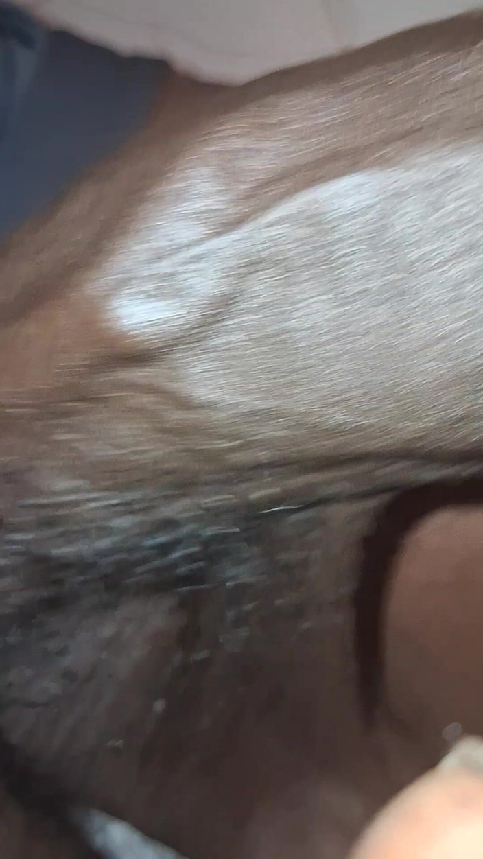 Chocolate Meat Stick: Stiff BBC Close up Action