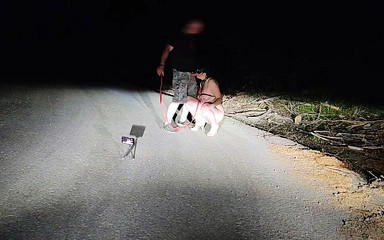 Toilet Mommy: O pizdă atât de aspirantă la toaletă!