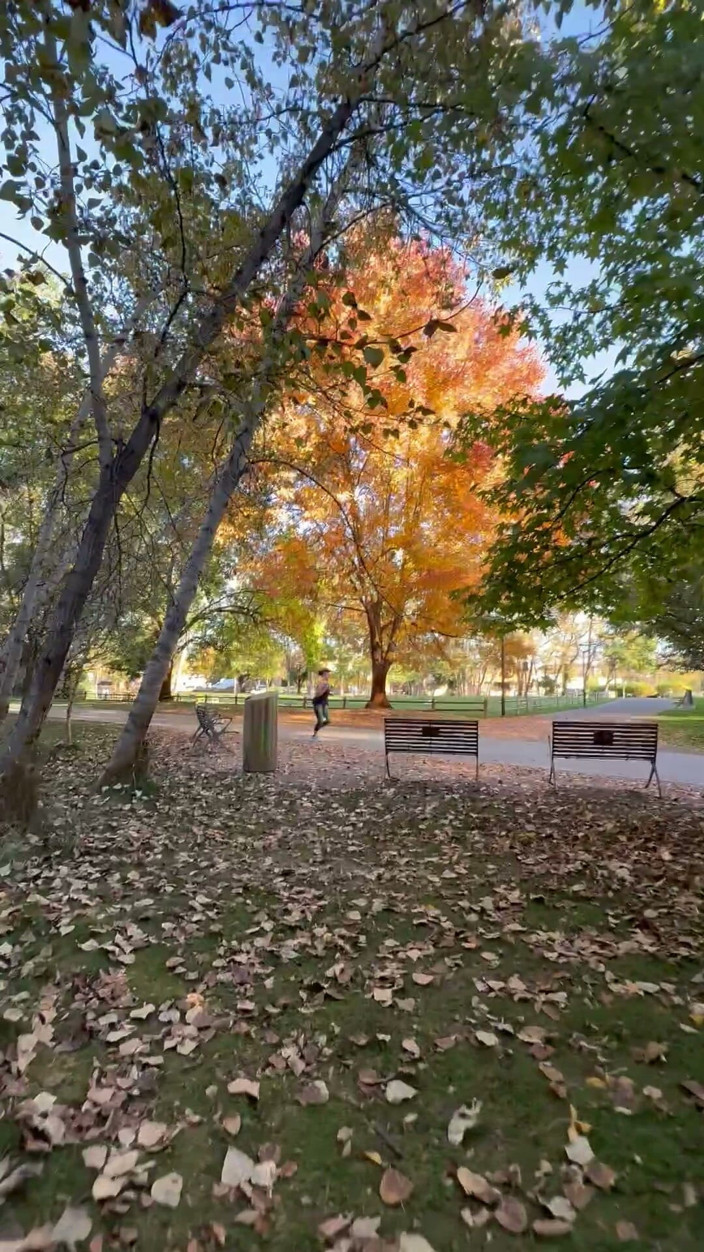 unemployedrobot: Halka açık mastürbasyon boise idaho greenbelt bisiklet yürüyüş parkuru
