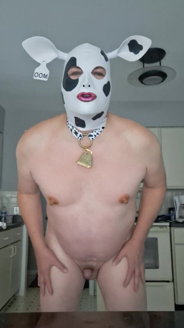 Victoria Lecherri: Hucow 星期六介绍！