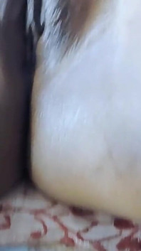 Anal First Time Load Moaning Hindi Audio