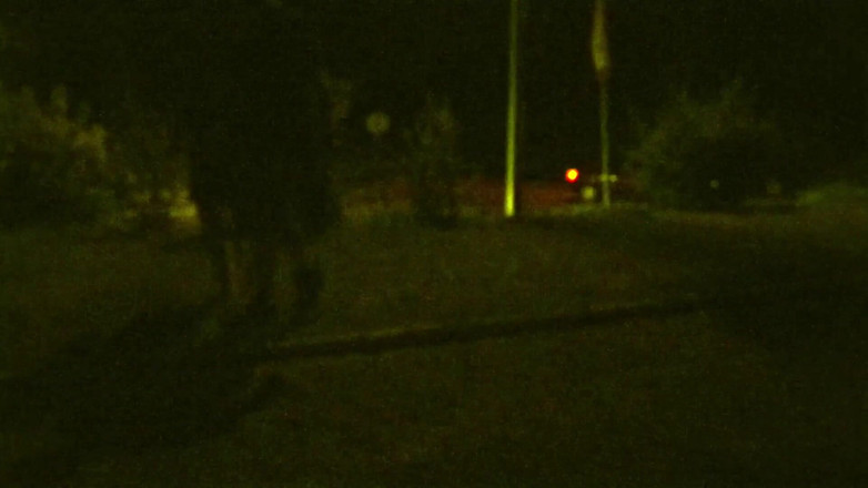 Toilet Mommy: ビッチが話を聞くためには、彼女は一生懸命訓練される必要があります。