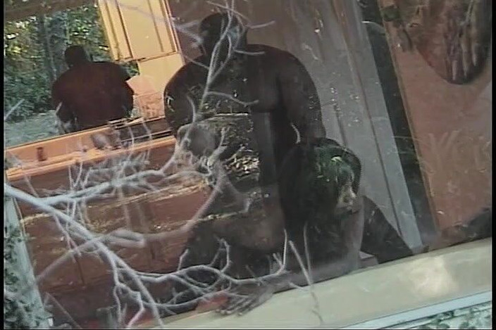 CBD Media Interracial: 샤워 중 따먹히는 거유 흑인 십대