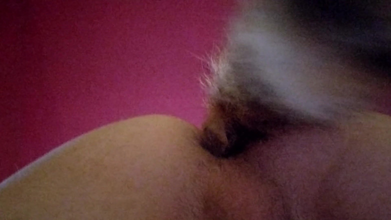 Joslin: Joslin摇晃肛门尾塞