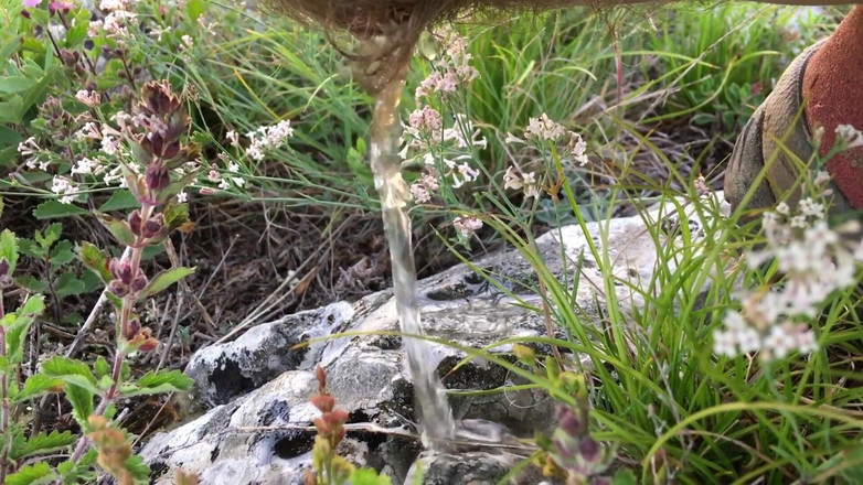 Risky Hairy Couple: Pișat păros în aer liber