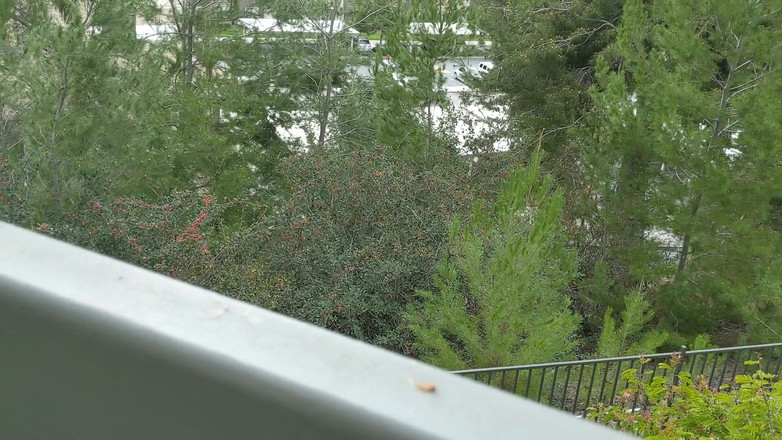 Rachael Belle: Piccolo pervertito