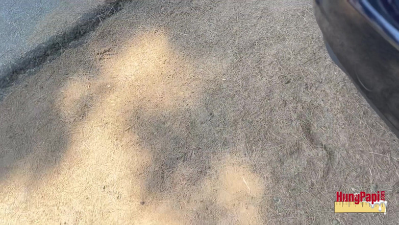 Hung Papi: Il Giovane Gay Si Sega Da Solo Sborrata Pubblica Torta...