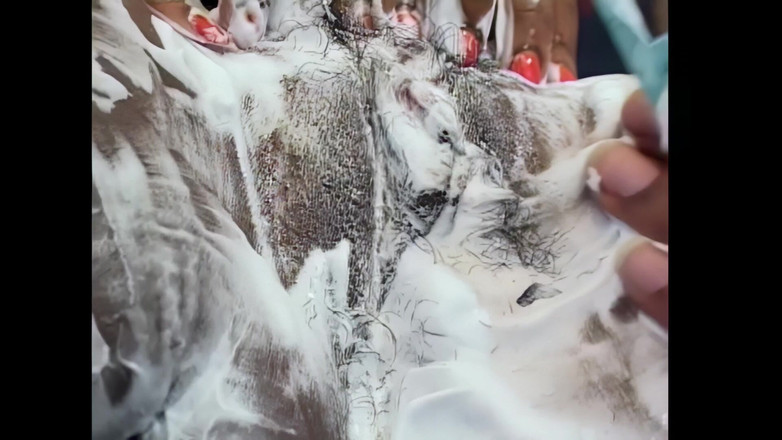 The Africans: Con đĩ da đen bị bbc nện