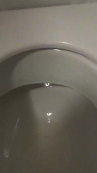 The Toilet Gang