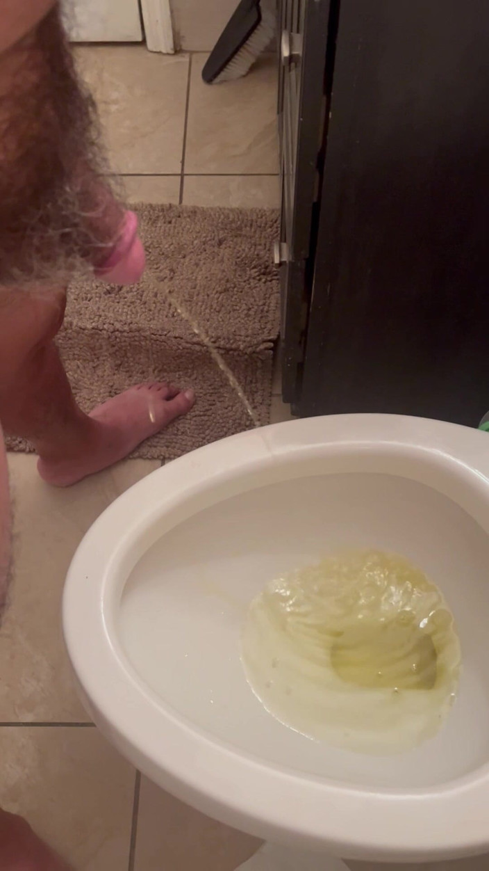 ragil01: Pissing in the Restroom at Home