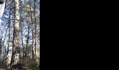 Giodicaprio: Puta al aire libre